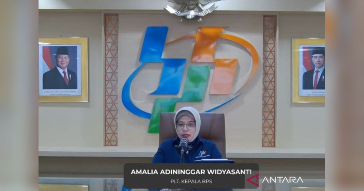 BPS: Produksi Beras Januari-Maret 2025 Diprediksi Melonjak