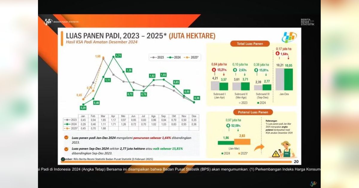 Produksi Padi Indonesia 2024: Penurunan Luas Panen, tetapi Produksi Beras Tetap Meningkat