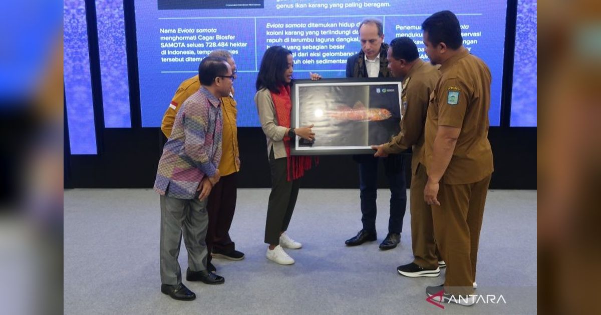 Ikan Gobi Kerdil Baru Ditemukan di Teluk Saleh, Tambah Daftar Keanekaragaman Hayati Indonesia