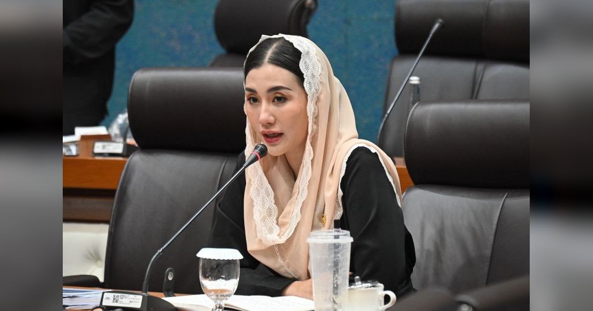 DPR Pertanyakan Skema Pembiayaan UMKM di Program Makan Bergizi Gratis