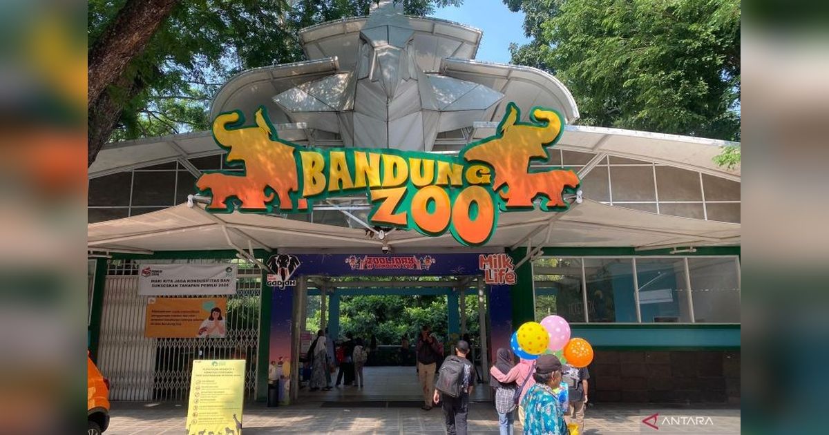 Pemkot Bandung Pastikan Tak Ada PHK Karyawan Bandung Zoo Usai Penyegelan