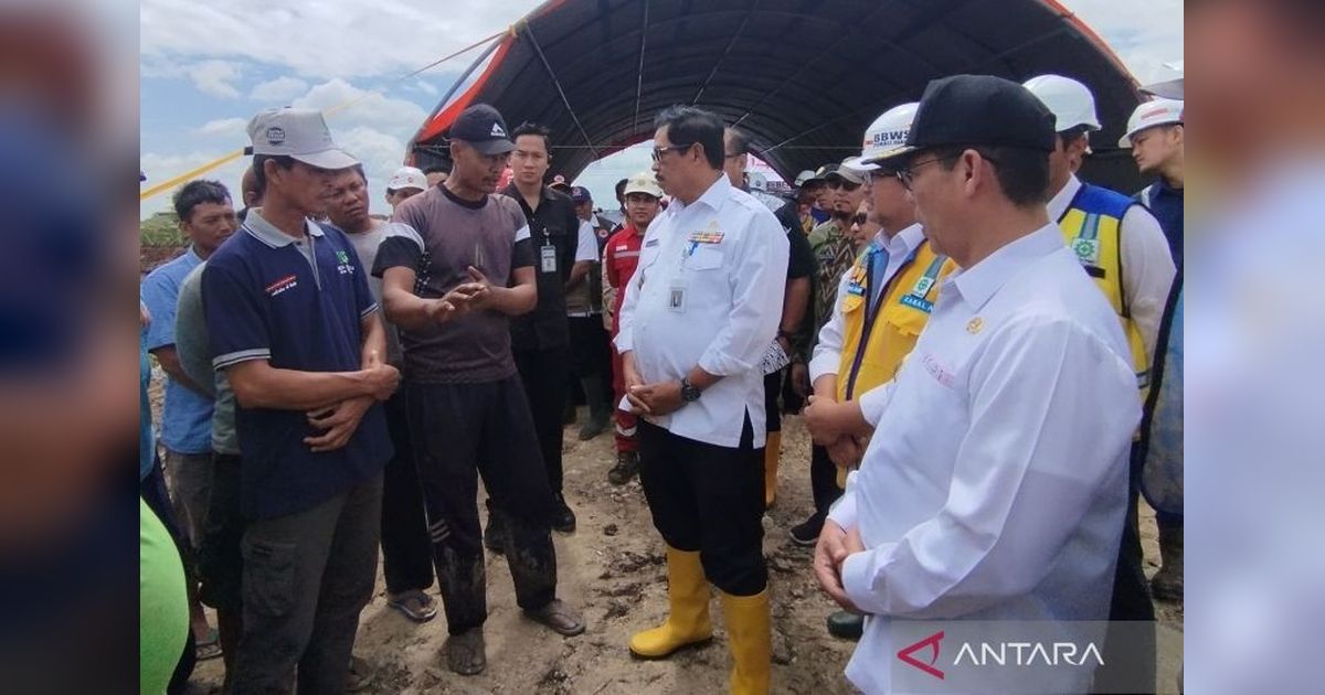 Banjir di Jateng: Produksi Gabah Diperkirakan Tak Terdampak Signifikan