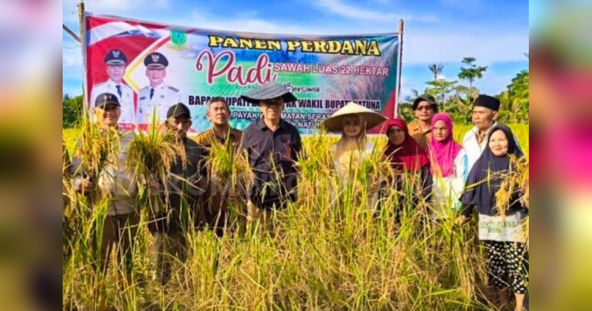 Produksi Beras Natuna Melonjak: 112 Ton di 2024!