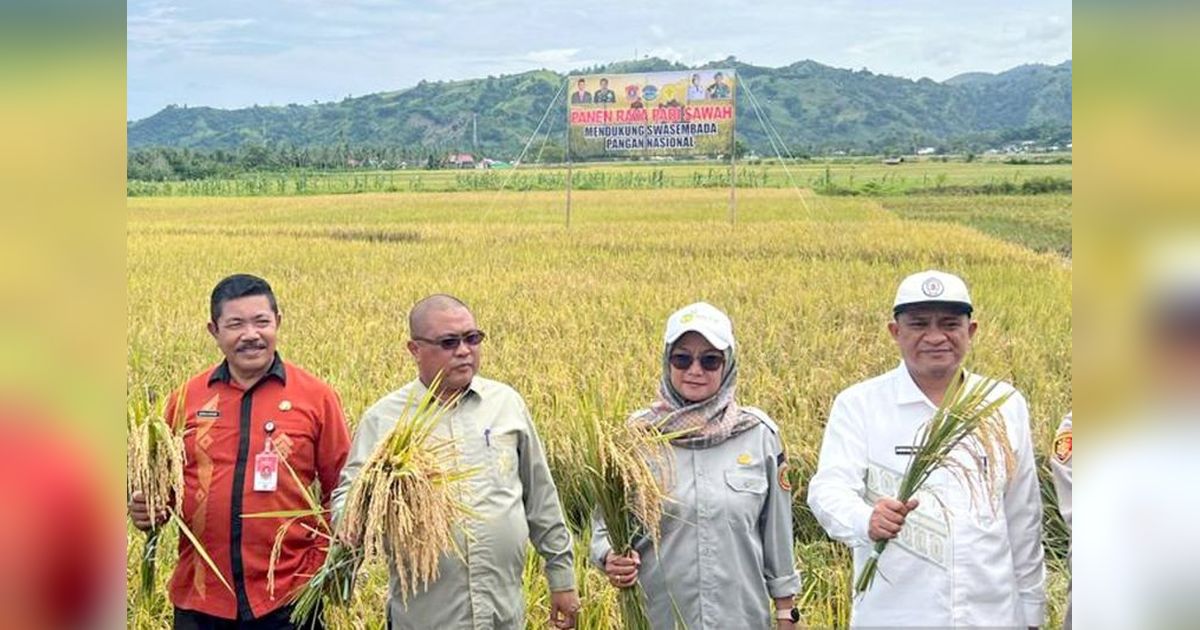 BSIP Gorontalo Dorong Produktivitas Pertanian Lewat Penerapan Standar