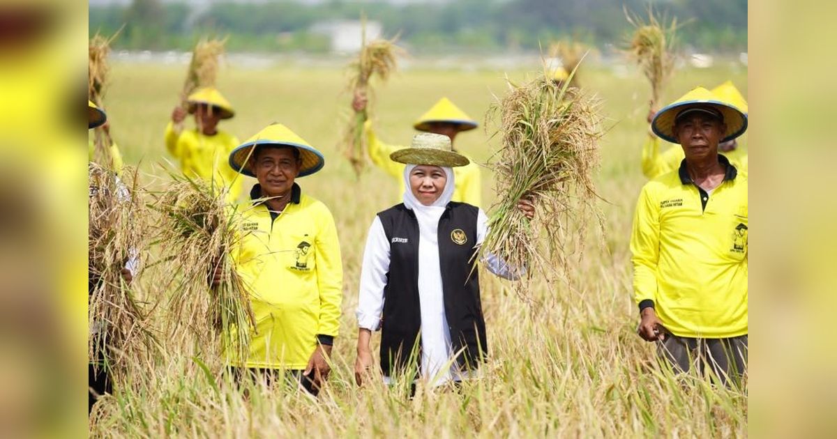 Jatim Siap Dukung Swasembada Pangan Nasional, Produksi Beras Tertinggi!