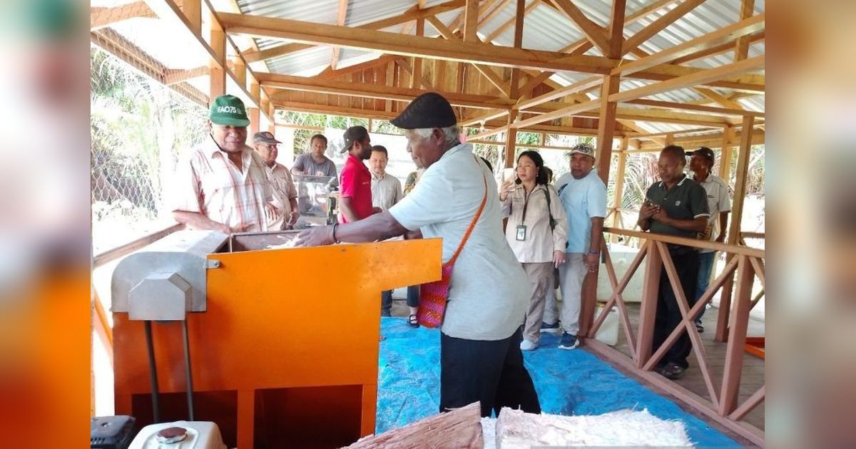 Rumah Produksi Sagu di Papua: Dorong Ekonomi Masyarakat Kampung Yoboi