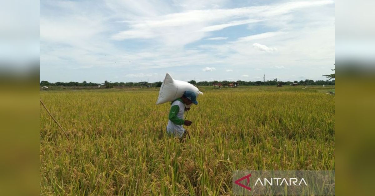 Konsumsi Rumah Tangga Pacu Pertumbuhan Ekonomi Ciayumajakuning