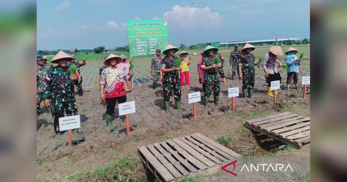 Aster Kasdam Jaya Dukung Ketahanan Pangan Nasional Lewat Pertanian Terpadu