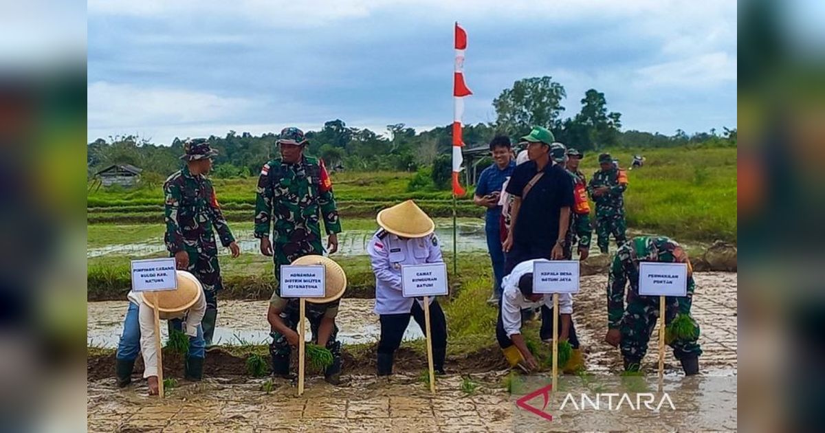 Kolaborasi Tingkatkan Produksi Padi Petani Natuna