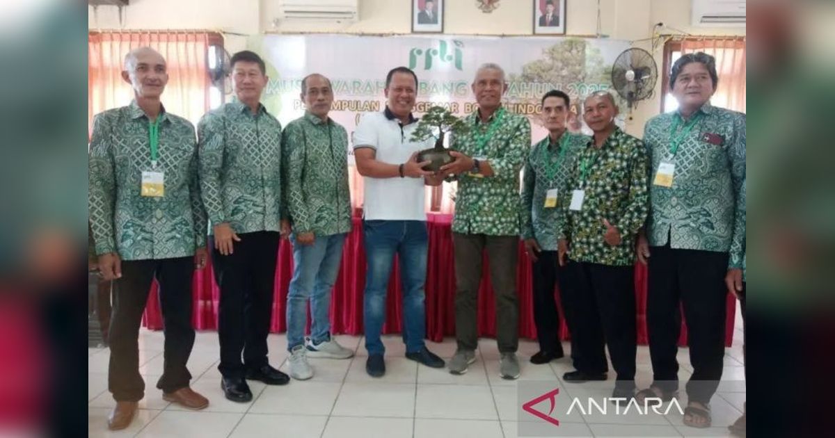 Belitung Kembangkan Bonsai untuk Tarik Wisatawan