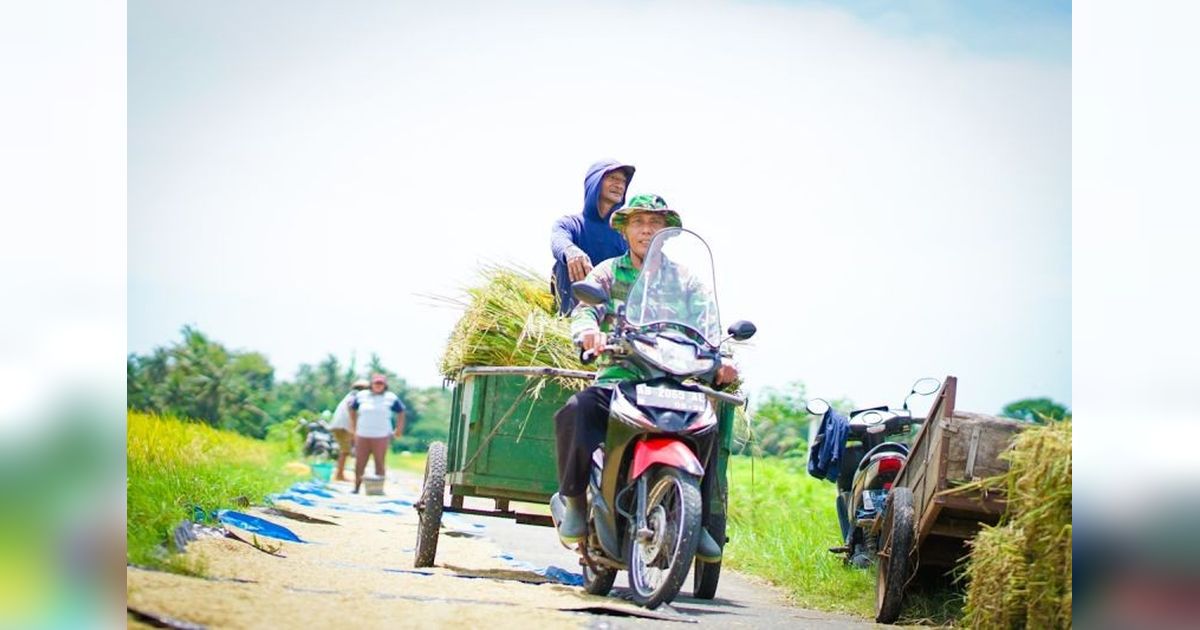 Produksi Pangan Indonesia Positif di 2025: Kementan