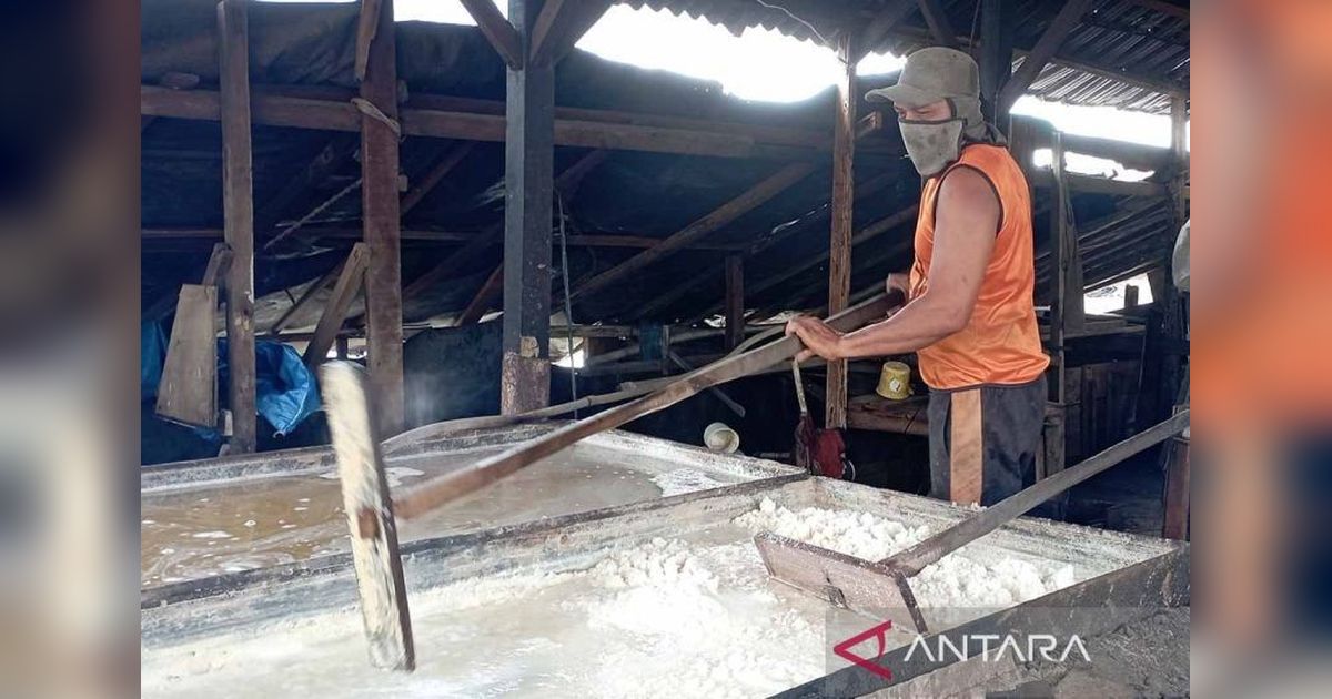 Aceh Targetkan Produksi Garam 10.800 Ton di 2025, Masih Jauh dari Kebutuhan