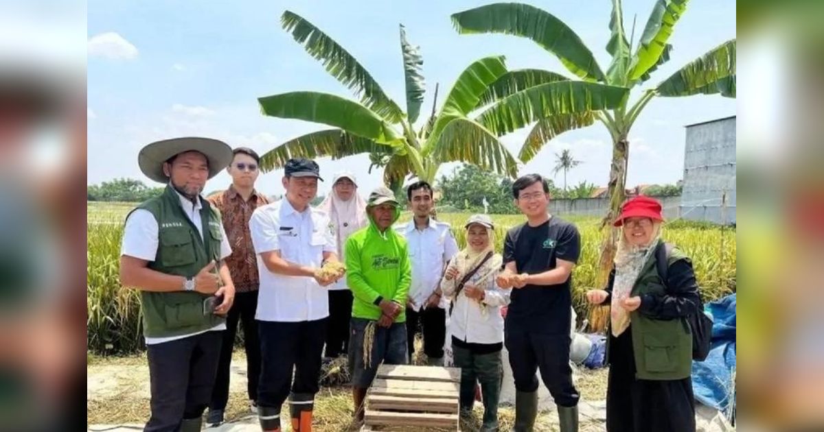 60 KWT Kota Tangerang Ikuti Pelatihan Penanganan Pascapanen untuk Tingkatkan Kualitas Pertanian