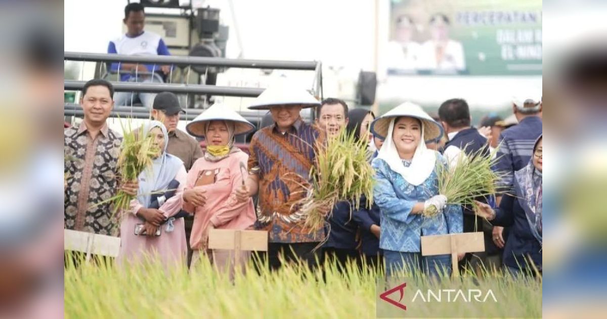 OKU Timur Targetkan Cetak Sawah Baru 11 Ribu Hektare untuk Tingkatkan Produktivitas Pertanian