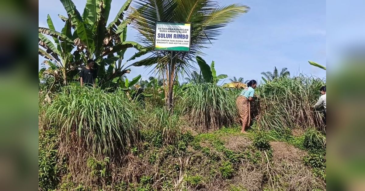 UMKM Jambi Binaan Astra Agro Lestari Sukses Produksi Minyak Sereh, Tembus Pasar Jakarta!