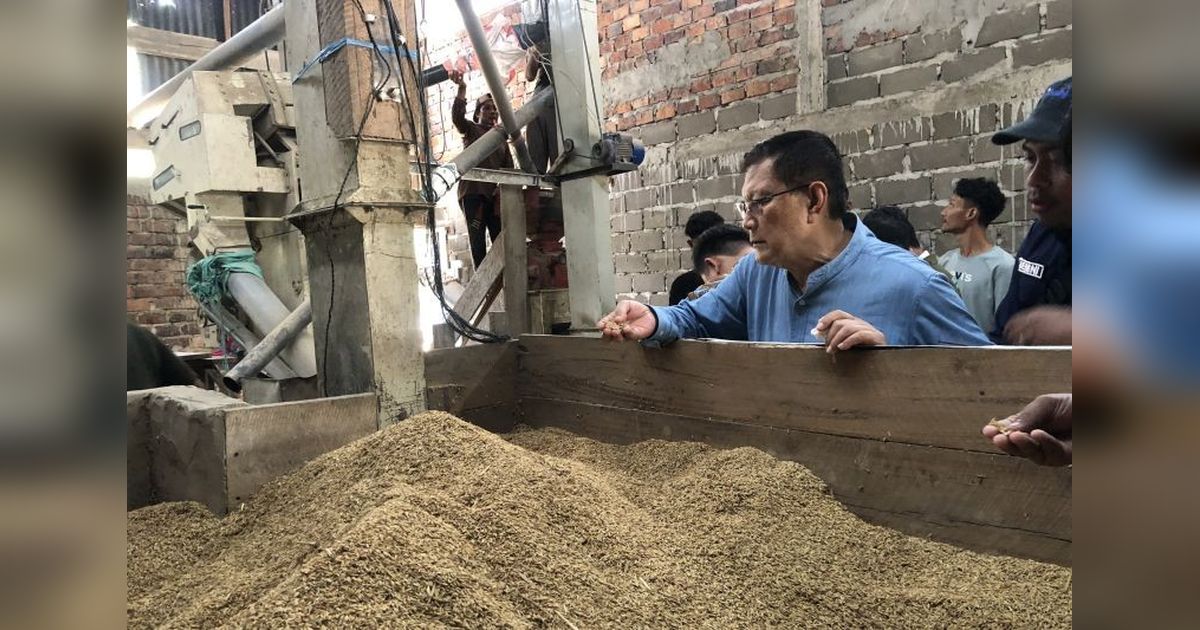 Bulog Sosialisasikan Harga Gabah Rp6.500 di Banyuasin, Petani Sumsel Lega