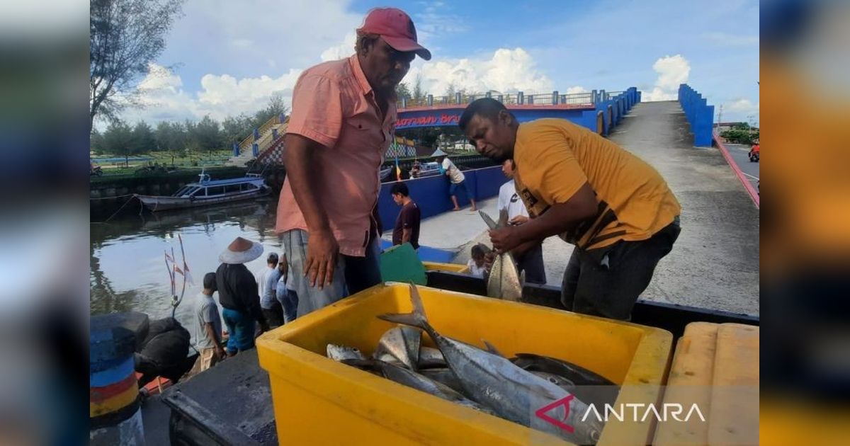 Produksi Ikan Tangkap Pariaman Meningkat 76 Ton di 2024