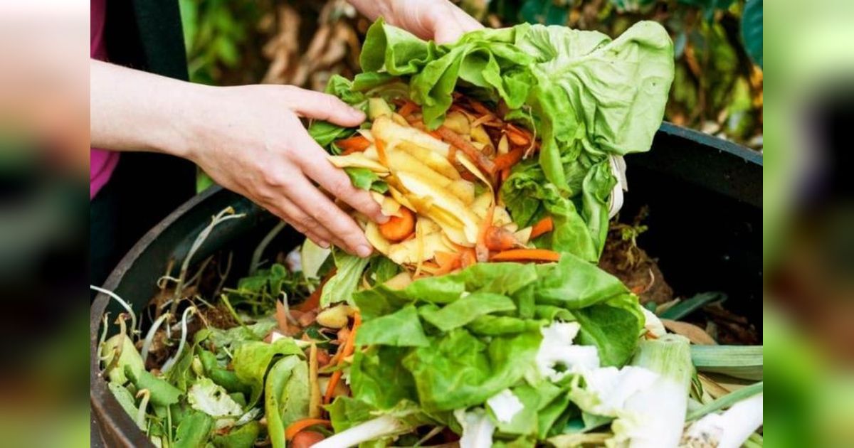 Indonesia Rugi Rp213 Triliun per Tahun Akibat Makanan Terbuang Sia-sia, Bagaimana Solusinya?