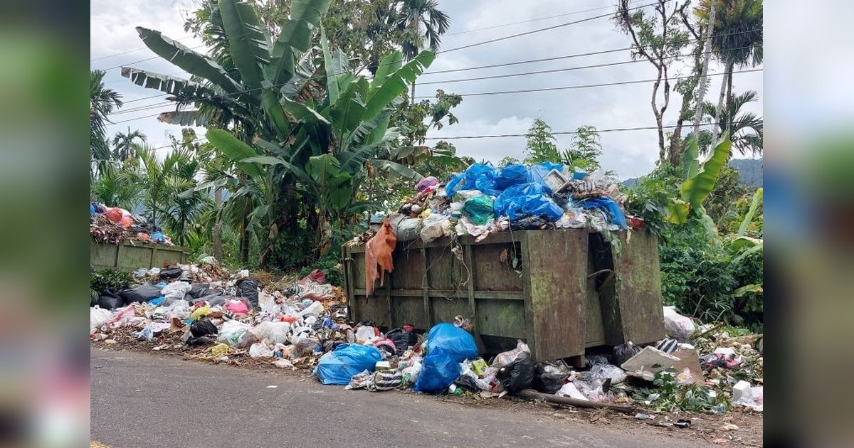 Pasaman Butuh Incenerator Rp2,2 Miliar untuk Atasi Sampah dan Tingkatkan PAD