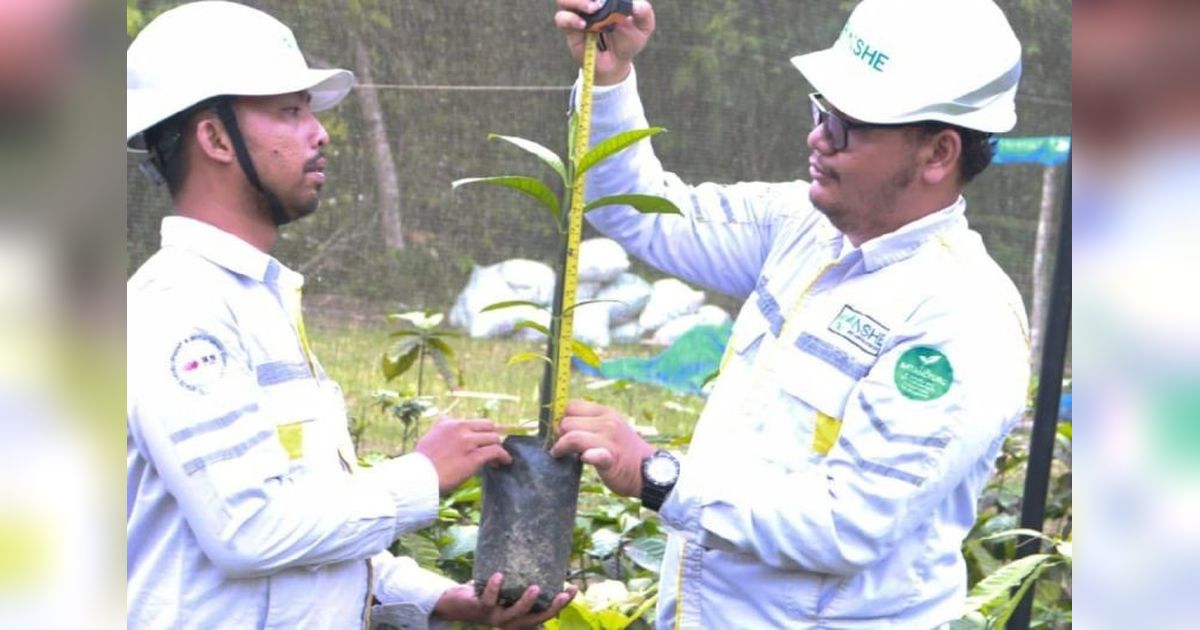 PLTA Batangtoru: Solusi Energi Bersih Sumut dan Kesejahteraan Masyarakat