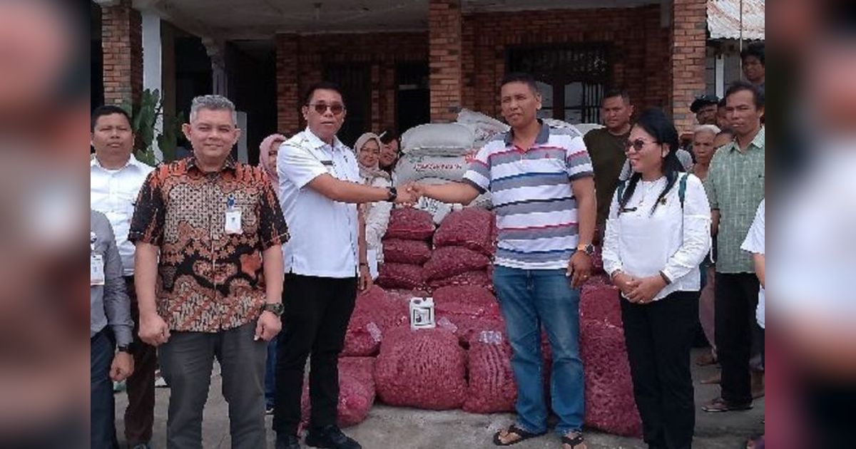Samosir Tingkatkan Pendampingan Petani, Produksi Bawang Merah Tembus 15 Ton per Hektar!