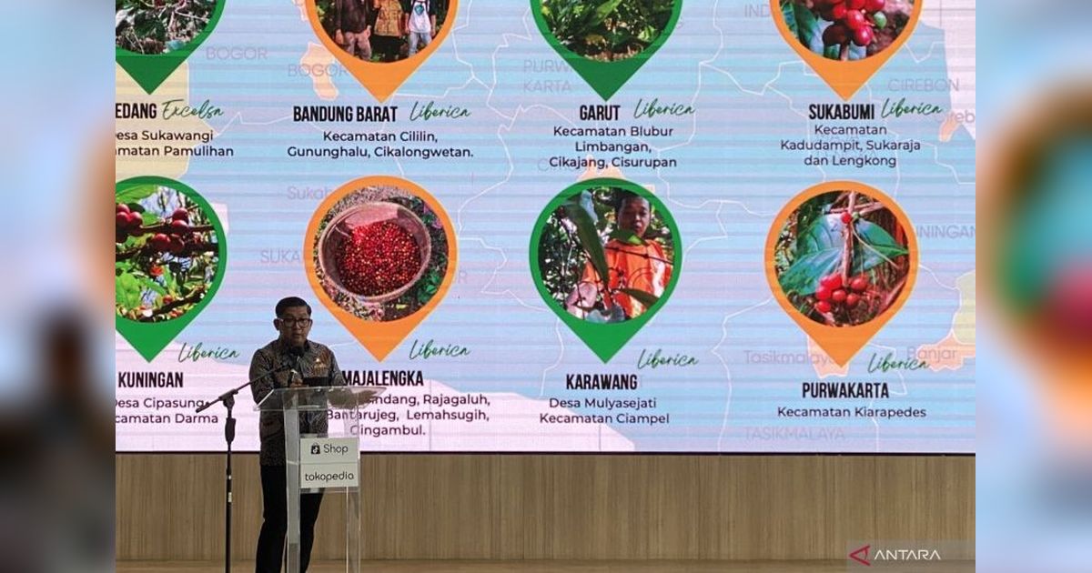 Agrowisata Kebun Kopi Jabar: Cicipi Kopi Lokal dan Jelajahi Proses Pembuatannya