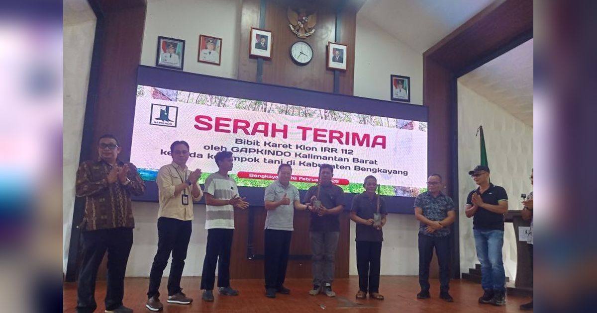 6.000 Bibit Karet Unggul untuk Petani Bengkayang: Dorong Produktivitas dan Peningkatan Ekonomi