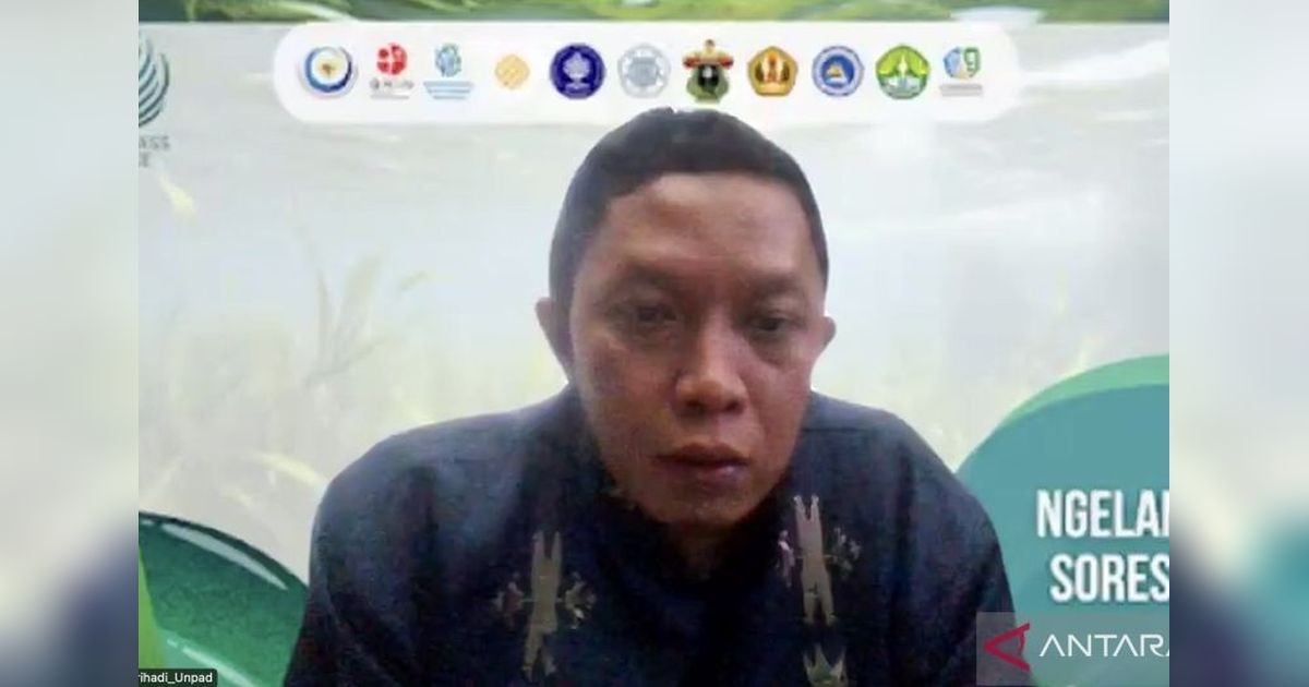 Ekowisata Padang Lamun: Antara Potensi dan Ancaman Kerusakan Lingkungan
