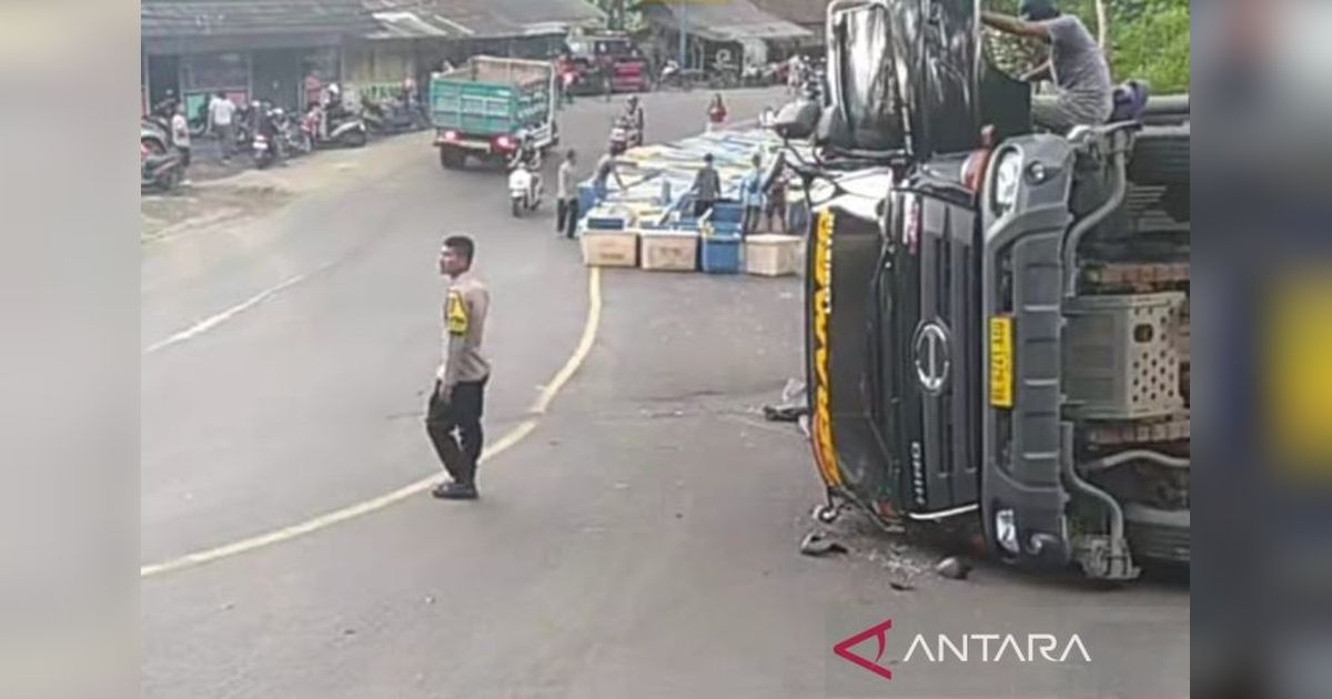 Truk Pengangkut Udang Terguling di Tanjakan Baeud, Sukabumi: Sopir Luka Ringan