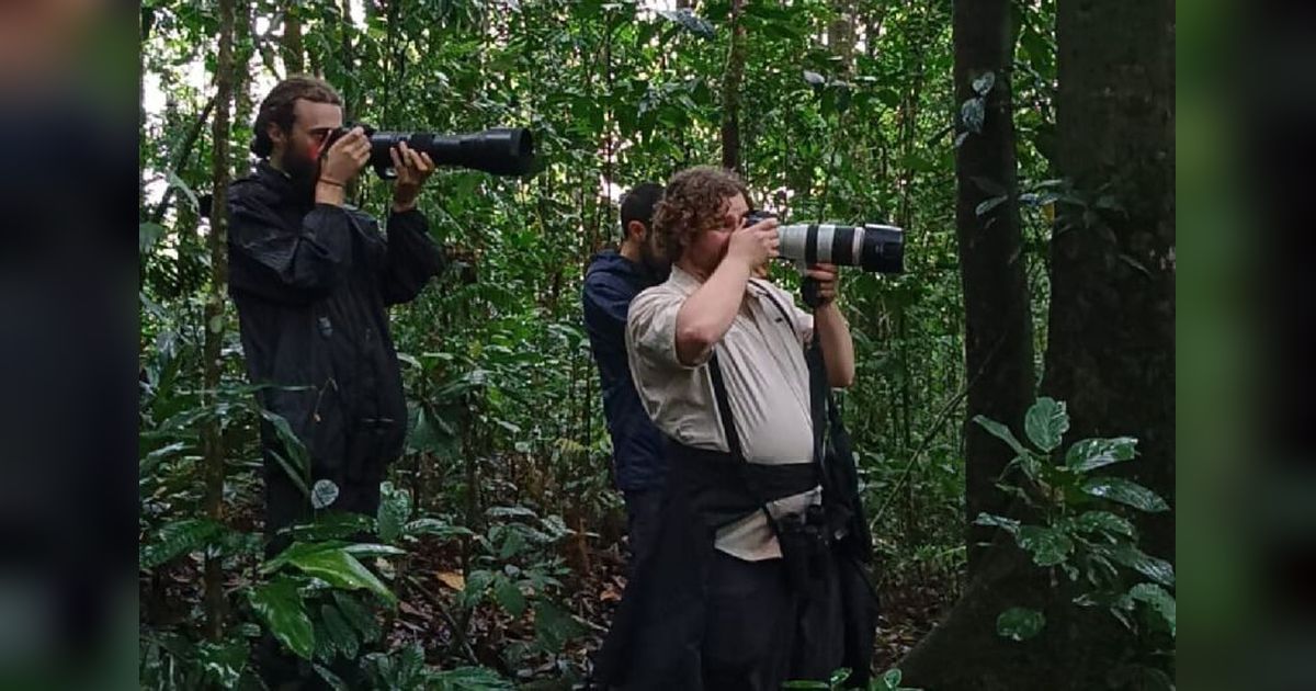 Ekowisata Tapanuli Selatan: Surga Tersembunyi yang Pikat Turis Asing