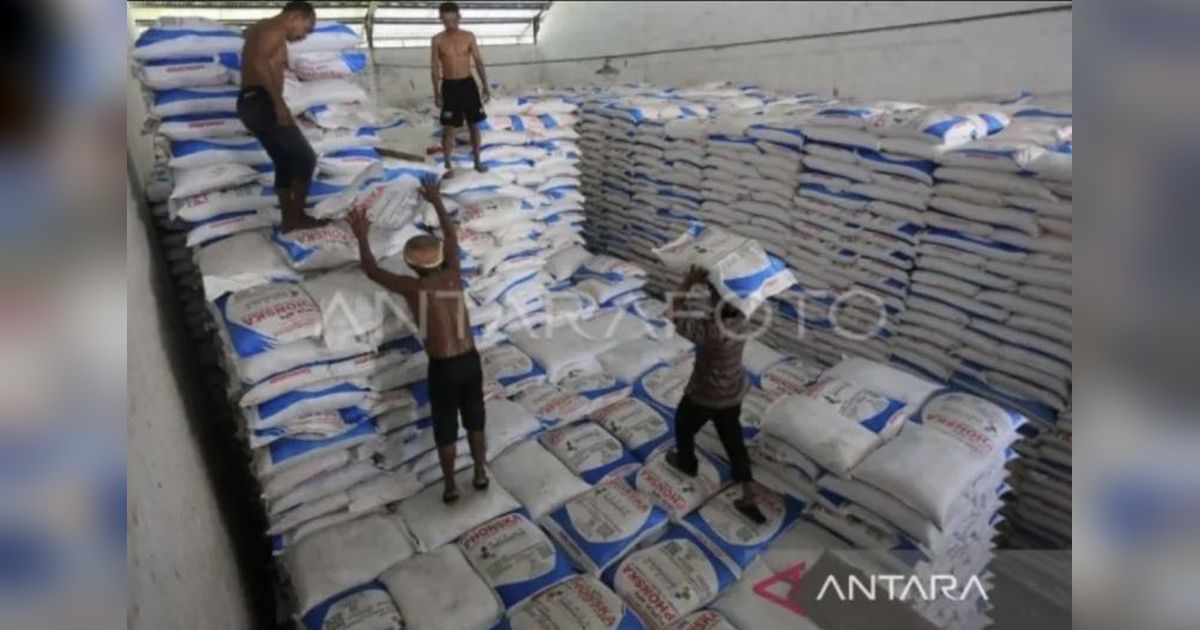 Nagan Raya Terima Alokasi 3.037 Ton Pupuk NPK Subsidi untuk Tahun 2025