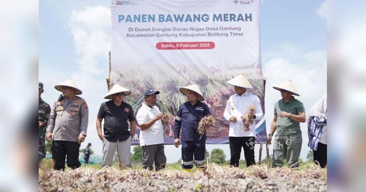Nilai Tukar Petani Bangka Belitung Naik 3,7 Persen di Februari 2025