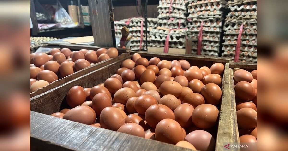 Harga Telur Ayam dan Bawang Merah Melonjak: PIHPS Catat Kenaikan Harga Pangan Nasional