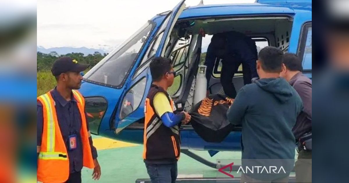 Fiersa Besari Selamat dari Tragedi Pendakian Carstensz Pyramid, Dua Pendaki Meninggal