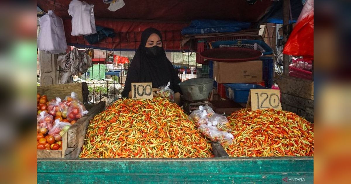 Harga Cabai di NTB Tembus Rp200.000/Kg, Pemprov Imbau Konsumen Tak Selektif