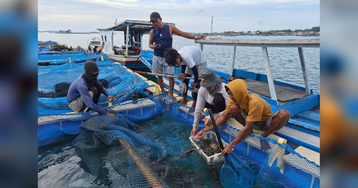 Kepulauan Seribu Dukung Peningkatan Produksi Budi Daya Ikan Nelayan