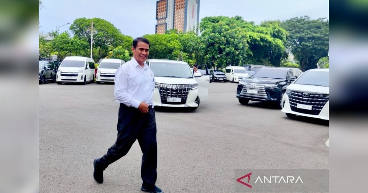 Harga Cabai Melonjak, Mentan Pastikan Pemerintah Segera Intervensi
