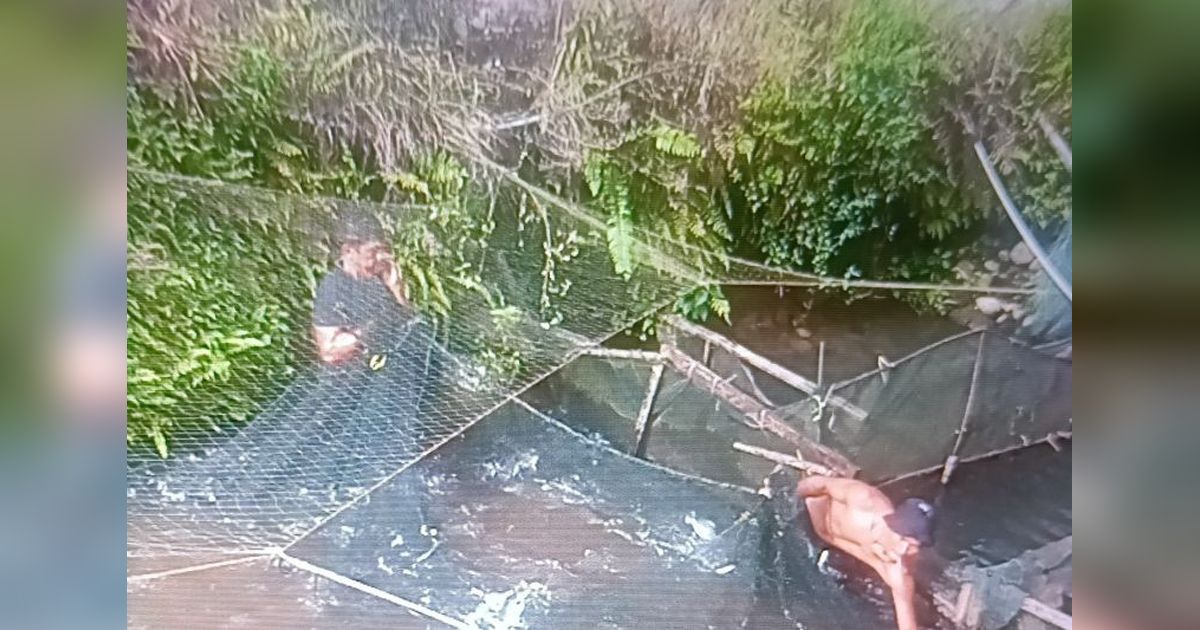 Produksi Ikan Pasaman Barat Tembus 18.158 Ton dalam Dua Bulan!