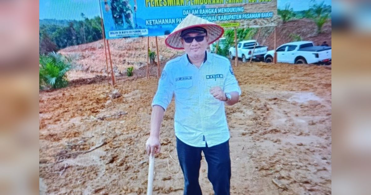 Pasaman Barat Bidik Produksi Padi Gogo 8.875 Ton di 2025
