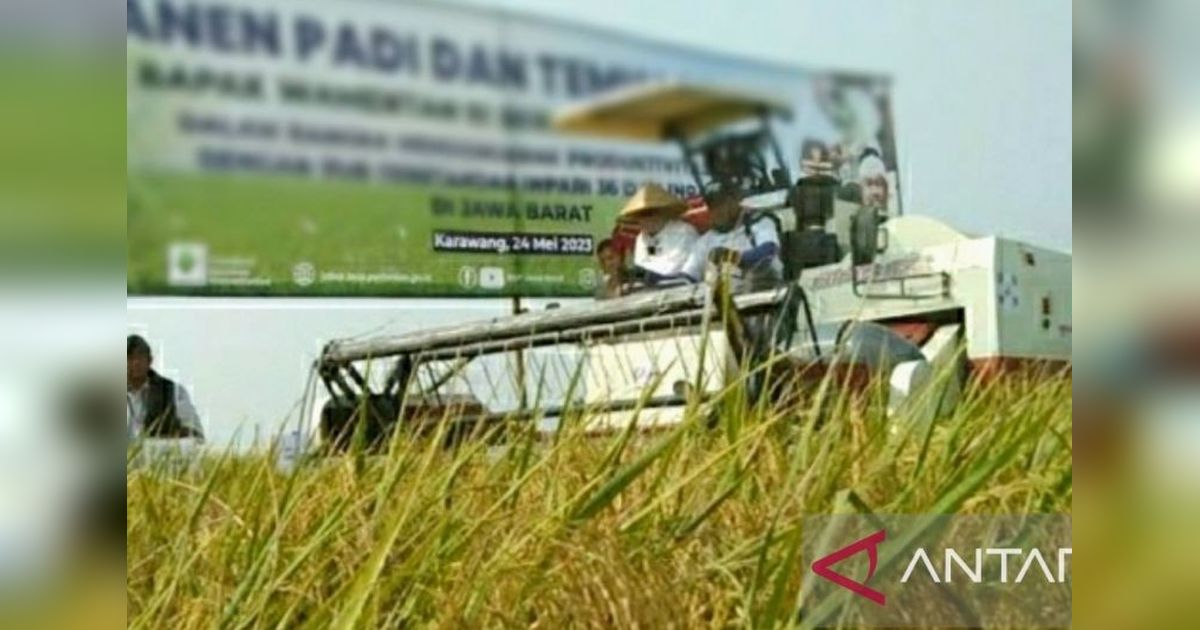 Petani Karawang Didorong Tanam Padi Tiga Kali Setahun, Target Produksi Melonjak!