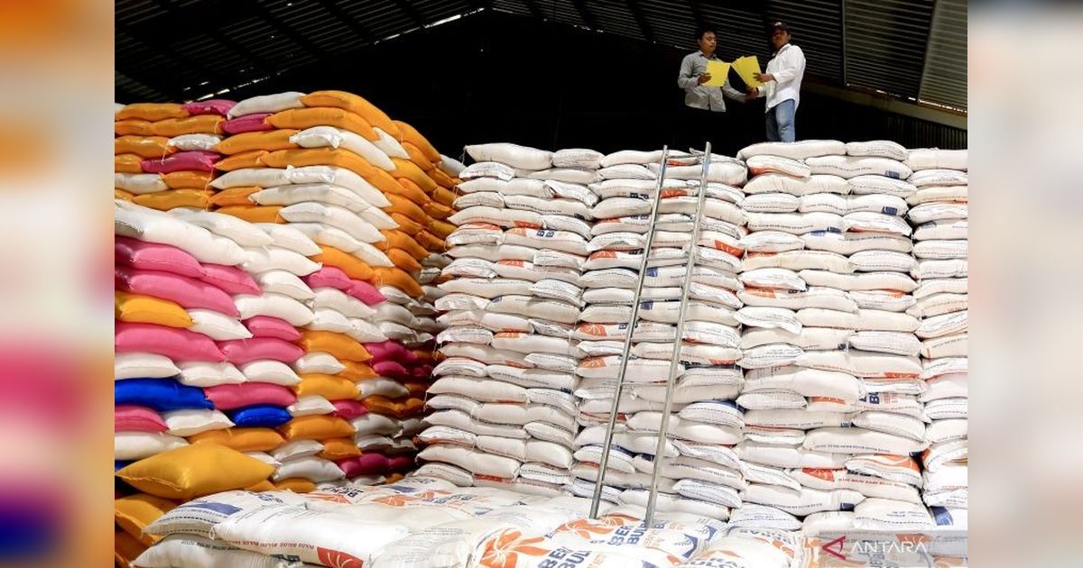 Produksi Padi Indonesia di Proyeksi Tertinggi 7 Tahun Terakhir pada Januari-April 2025