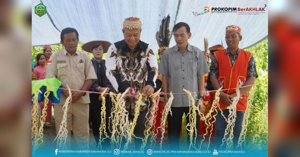Mahakam Ulu Manfaatkan PLTS untuk Terangi Kawasan 3T