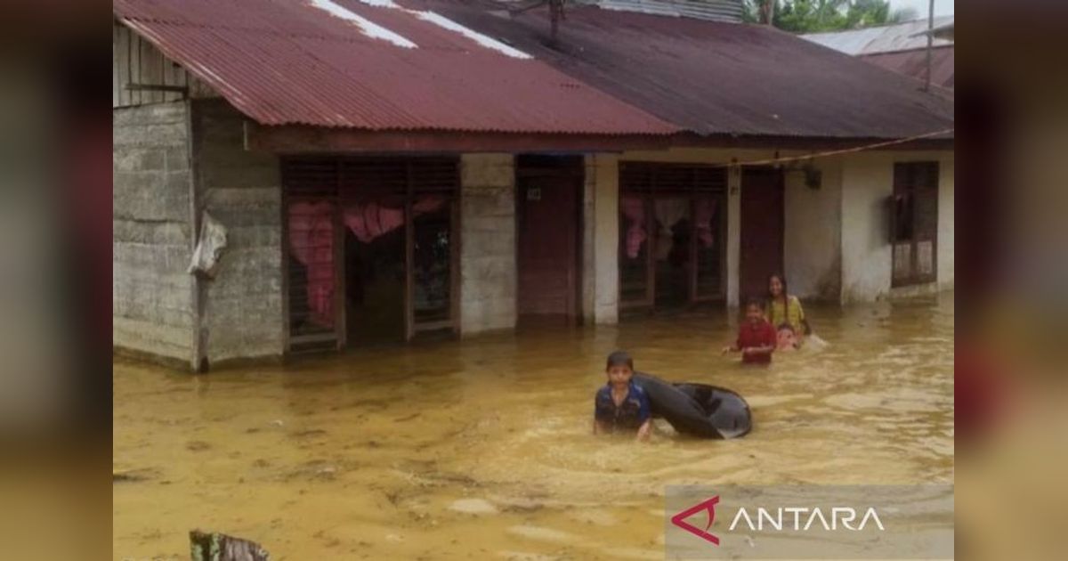 Banjir Rendam 20 Desa di Aceh Barat, Sungai Krueng Meureubo dan Woyla Meluap
