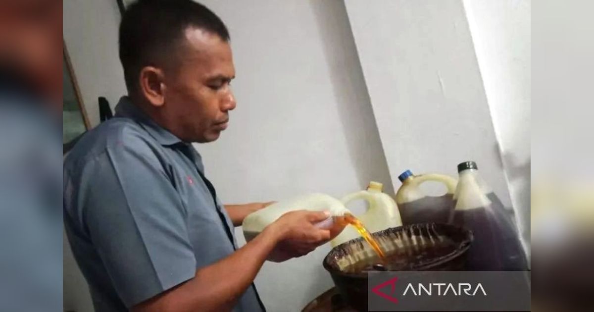 Produksi Minyak Atsiri Aceh Barat Tembus 22,82 Ton per Tahun, Dorong Ekonomi Lokal