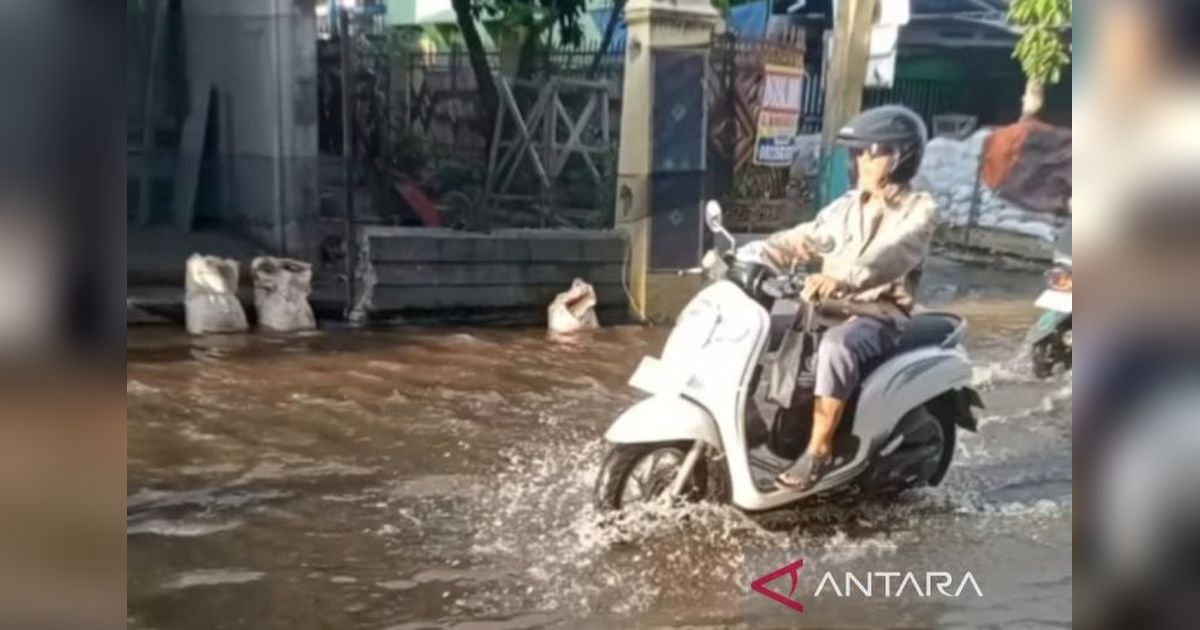 Waspada Rob! BPBD Banjarmasin Imbau Warga Antisipasi Banjir hingga 12 Maret