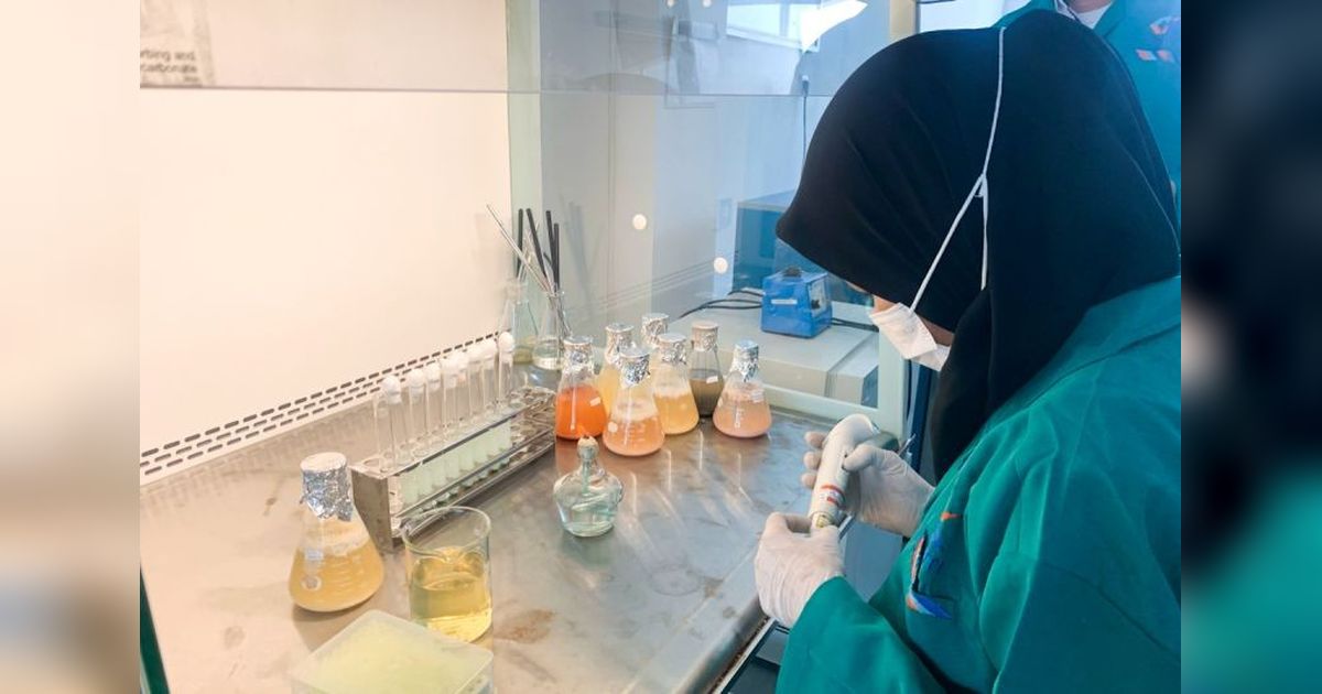 KKP Jamin Keamanan Produk Perikanan Jelang Ramadhan: Bebas Bakteri E. coli