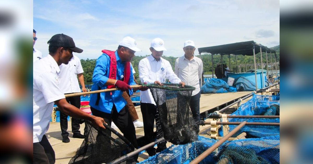 KKP Pastikan Stok Kakap Putih Aman hingga Lebaran di Ambon