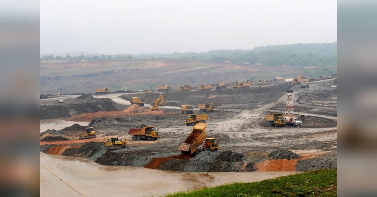 STuEB Desak Danareksa Hindari Investasi Sektor Batu Bara demi Masa Depan Indonesia