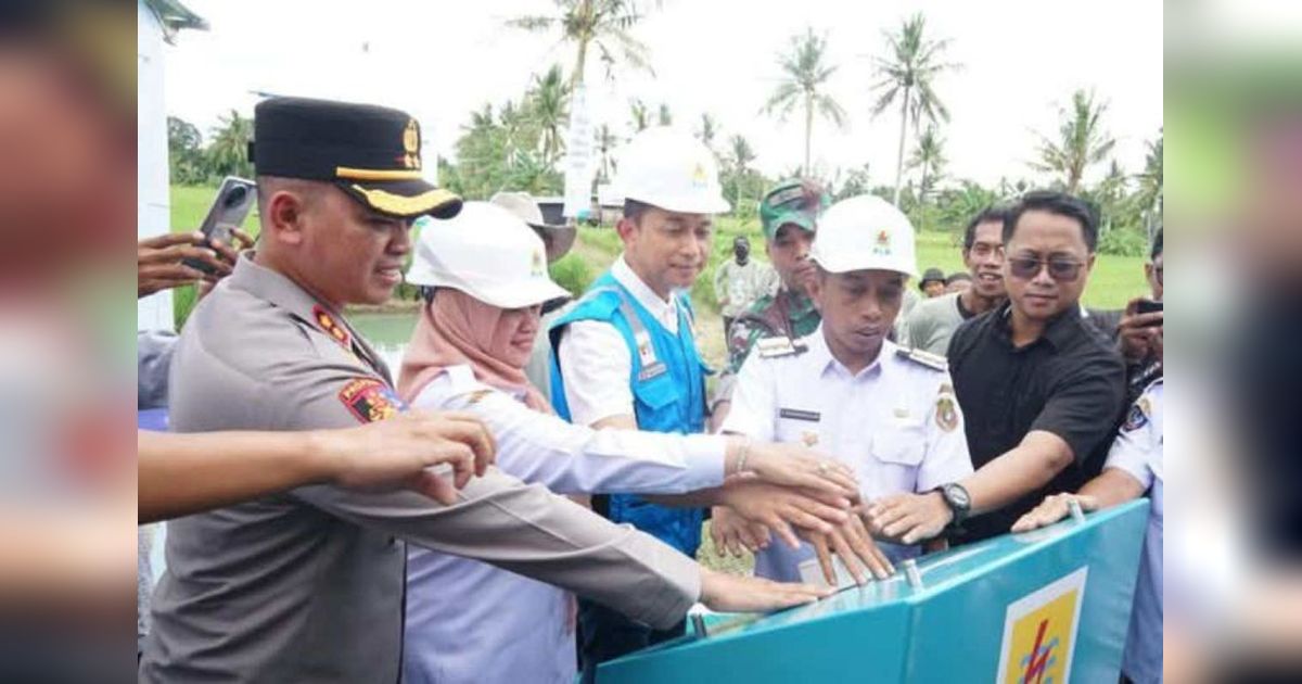Listrik Masuk Sawah: Pemkab Sidrap dan PLN Pacu Produktivitas Pertanian