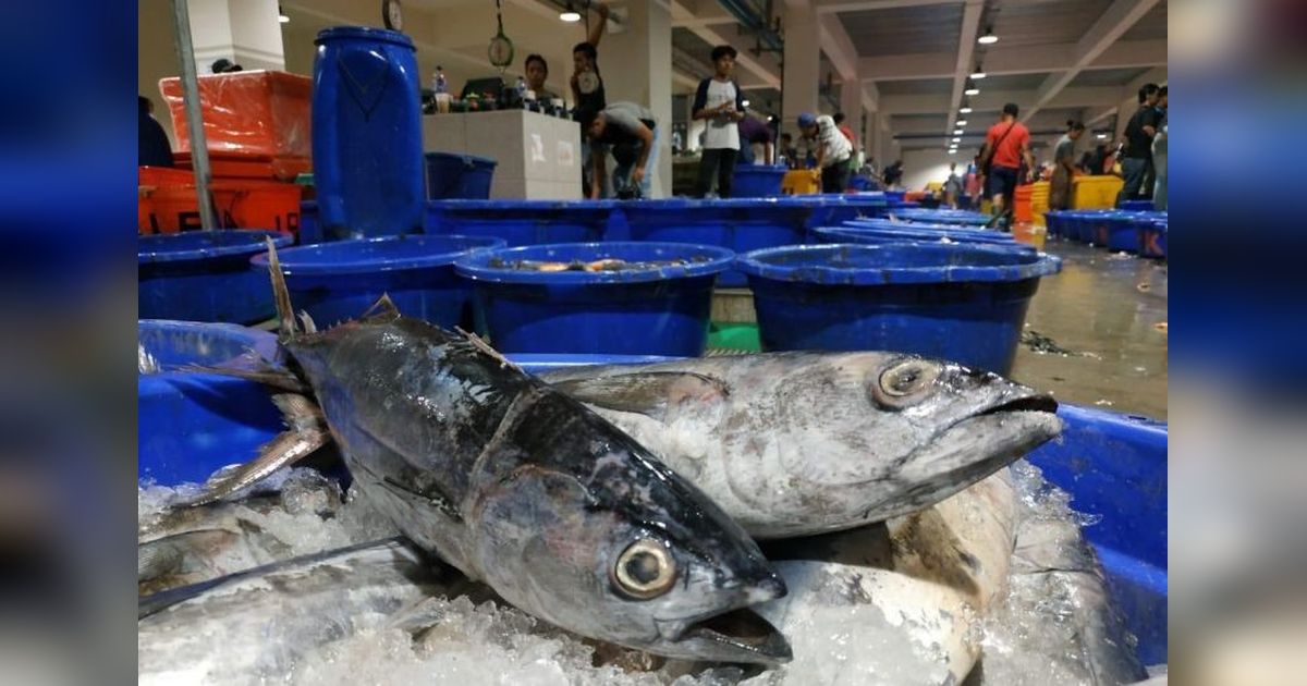 Perikanan Indonesia Jaga Stok Ikan Jelang Lebaran: Antisipasi Lonjakan Permintaan